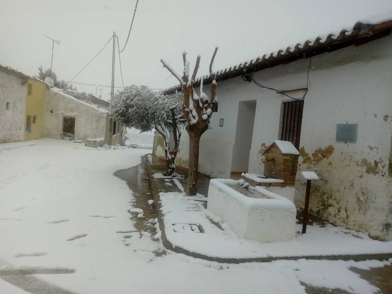 La Loberuela (Camporrobles): El primer temporal del invierno entra en la Comunitat cubriendo de blanco buena parte del interior de las provincias de Castellón, Valencia y Alicante. Aemet ha aumentado el aviso naranja previsto ya que los acumulados podrían ser considerables, de hasta quince centímetros. La borrasca no abandonará el territorio regional hasta el próximo sábado.