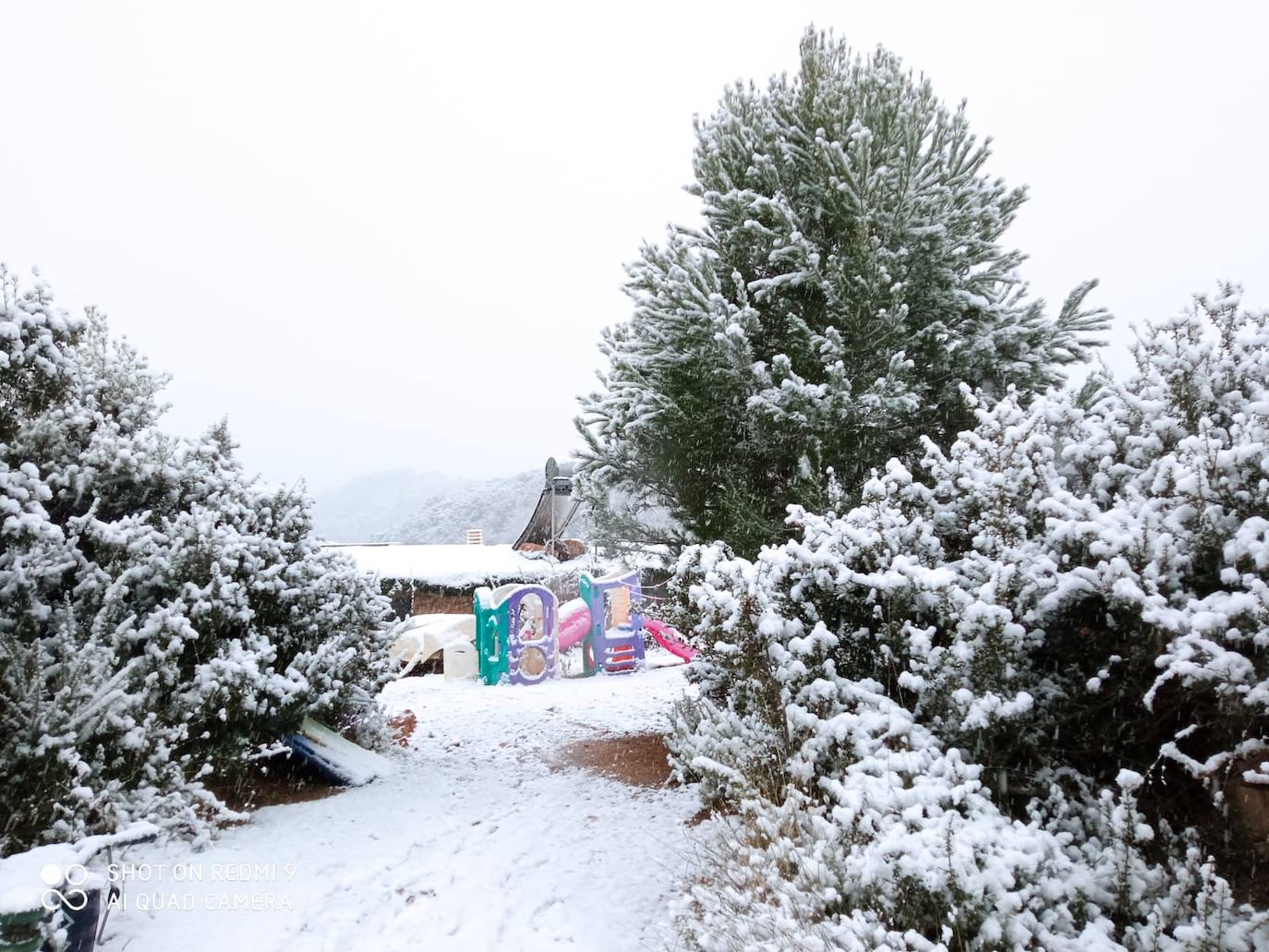 Lucena: El primer temporal del invierno entra en la Comunitat cubriendo de blanco buena parte del interior de las provincias de Castellón, Valencia y Alicante. Aemet ha aumentado el aviso naranja previsto ya que los acumulados podrían ser considerables, de hasta quince centímetros. La borrasca no abandonará el territorio regional hasta el próximo sábado.