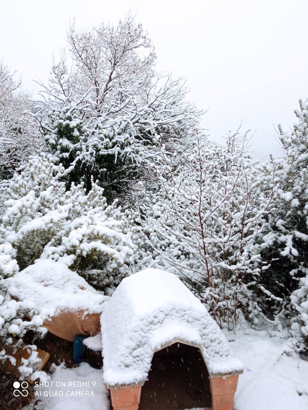 Lucena: El primer temporal del invierno entra en la Comunitat cubriendo de blanco buena parte del interior de las provincias de Castellón, Valencia y Alicante. Aemet ha aumentado el aviso naranja previsto ya que los acumulados podrían ser considerables, de hasta quince centímetros. La borrasca no abandonará el territorio regional hasta el próximo sábado.