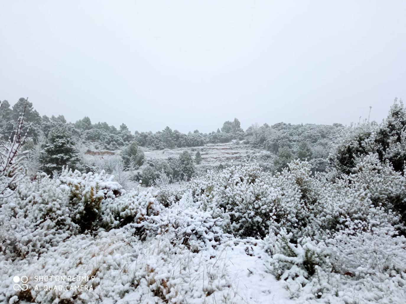 Lucena: El primer temporal del invierno entra en la Comunitat cubriendo de blanco buena parte del interior de las provincias de Castellón, Valencia y Alicante. Aemet ha aumentado el aviso naranja previsto ya que los acumulados podrían ser considerables, de hasta quince centímetros. La borrasca no abandonará el territorio regional hasta el próximo sábado.