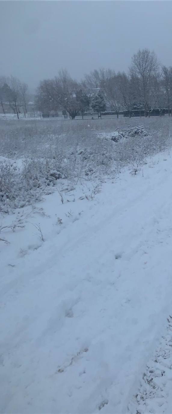 Requena: El primer temporal del invierno entra en la Comunitat cubriendo de blanco buena parte del interior de las provincias de Castellón, Valencia y Alicante. Aemet ha aumentado el aviso naranja previsto ya que los acumulados podrían ser considerables, de hasta quince centímetros. La borrasca no abandonará el territorio regional hasta el próximo sábado.