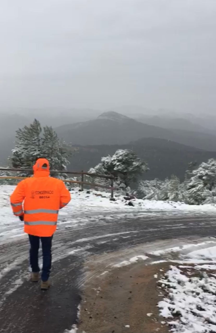 Fotos: Los efectos del temporal Filomena, este viernes en la Comunitat