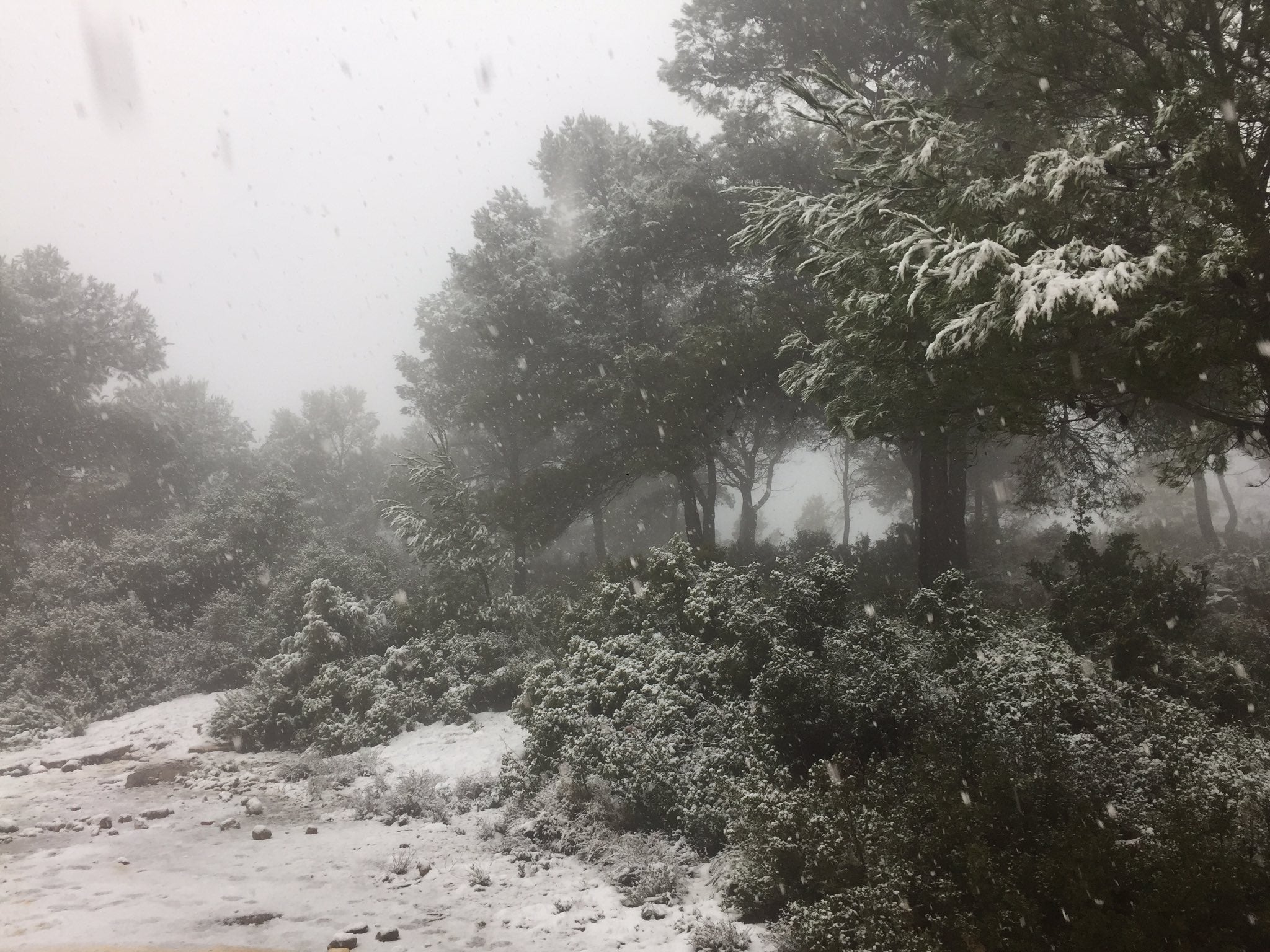 Fotos: Los efectos del temporal Filomena, este viernes en la Comunitat