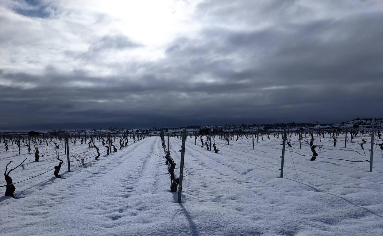 Tiempo en Valencia | Sigue la nieve, la lluvia y las heladas en la Comunitat por el temporal 'Filomena'