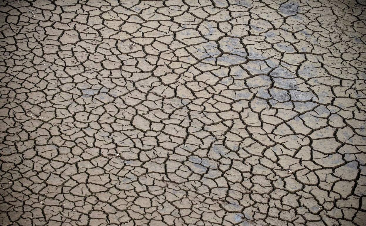 Detalle de la tierra cuarteada por la ausencia de lluvia en el entorno del río Mao, a su paso por el municipio orensano de Montederramo.