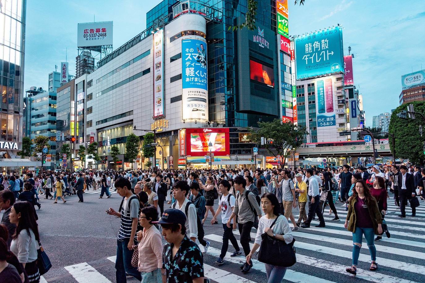 7.- Tokyo | La capital nipona, dice el estudio, "presume de tener el índice de obesidad más bajo de todas las ciudades evaluadas en el informe". Un dato que tiene su origen en la saludable alimentación de este país, a lo que añade otros factores como la alta esperanza de vida. En el otro lado de la balanza está el coste de la vida y la polución, de las más altas de las urbes que lideran este ranking.
