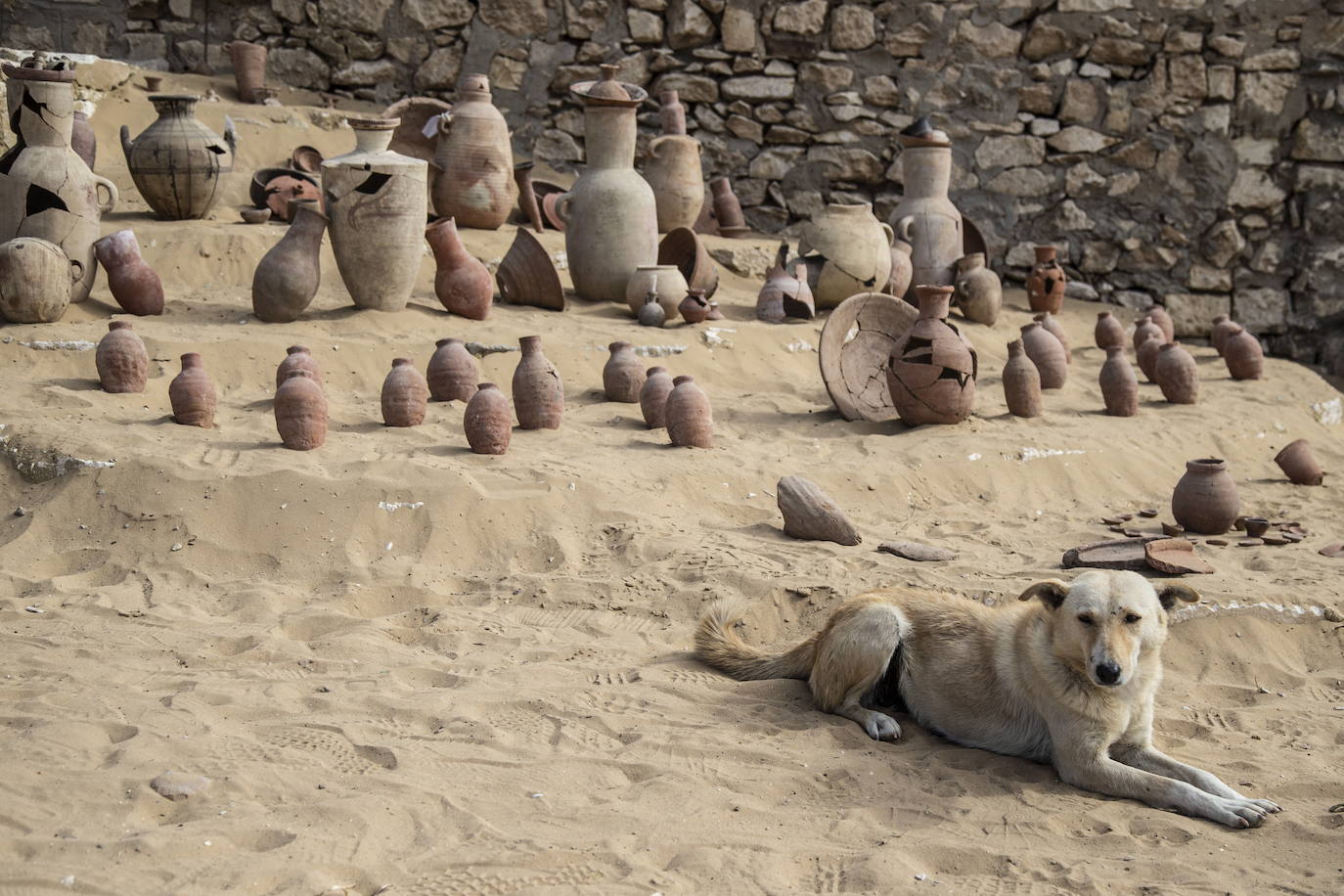 Egipto muestra los nuevos «grandes descubrimientos» de la necrópolis de Saqqara