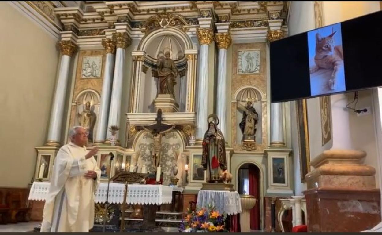 El párroco bendice a uno de los animales. 