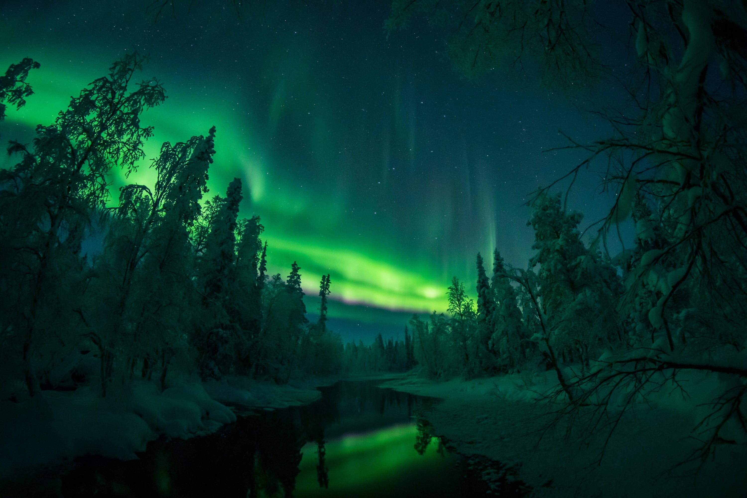 Extrañas formas brillan sobre los bosques nevados y los ríos de la Laponia finlandesa en la noche del 18 al 19 de enero