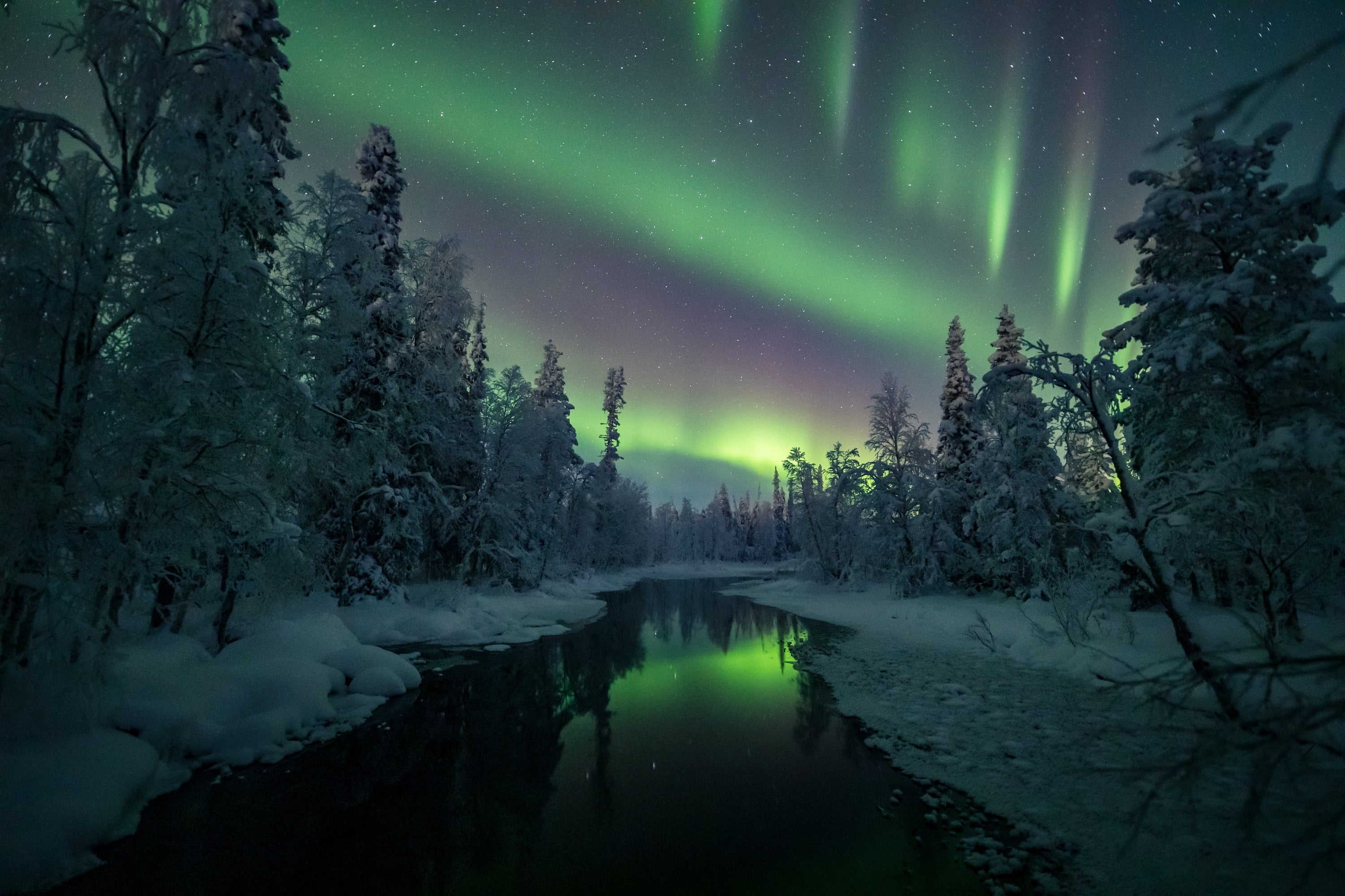 Extrañas formas brillan sobre los bosques nevados y los ríos de la Laponia finlandesa en la noche del 18 al 19 de enero