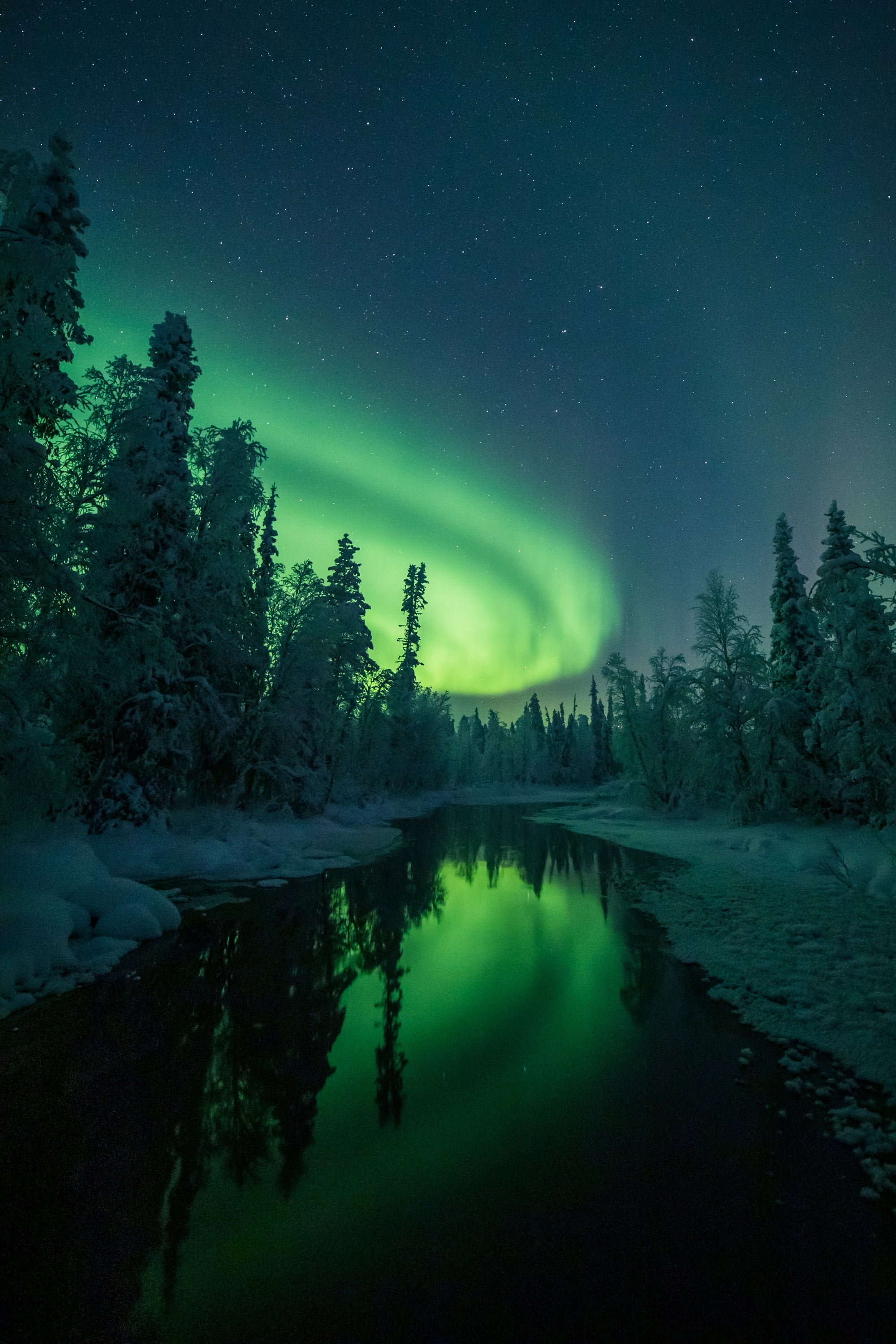 Extrañas formas brillan sobre los bosques nevados y los ríos de la Laponia finlandesa en la noche del 18 al 19 de enero