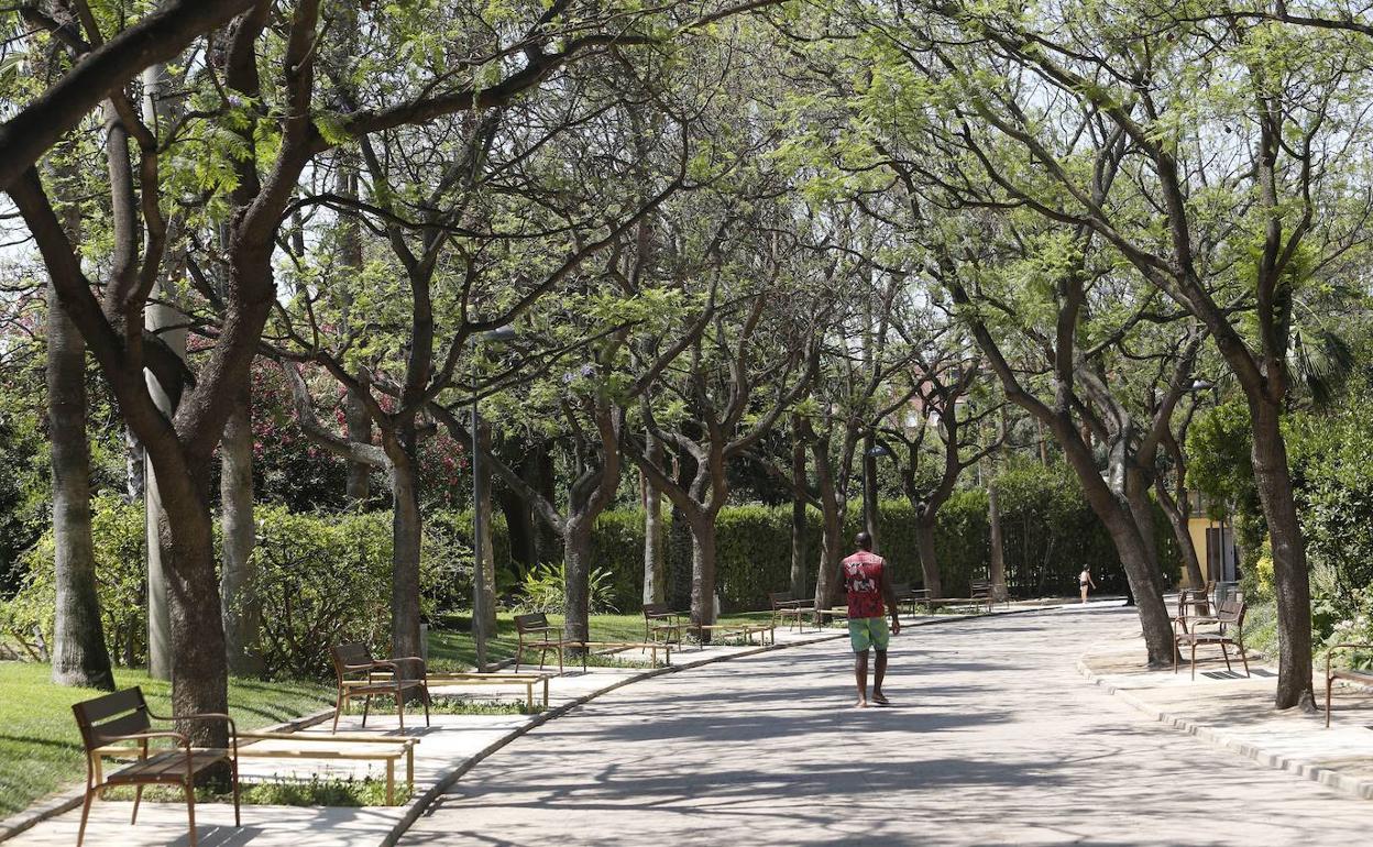 Benicalap es uno de los barrios con mayor incidencia del Covid