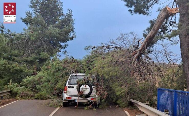 'Hortensia' obliga a cerrar parques, jardines y cementerios y provoca incidentes debido a las fuertes rachas de viento