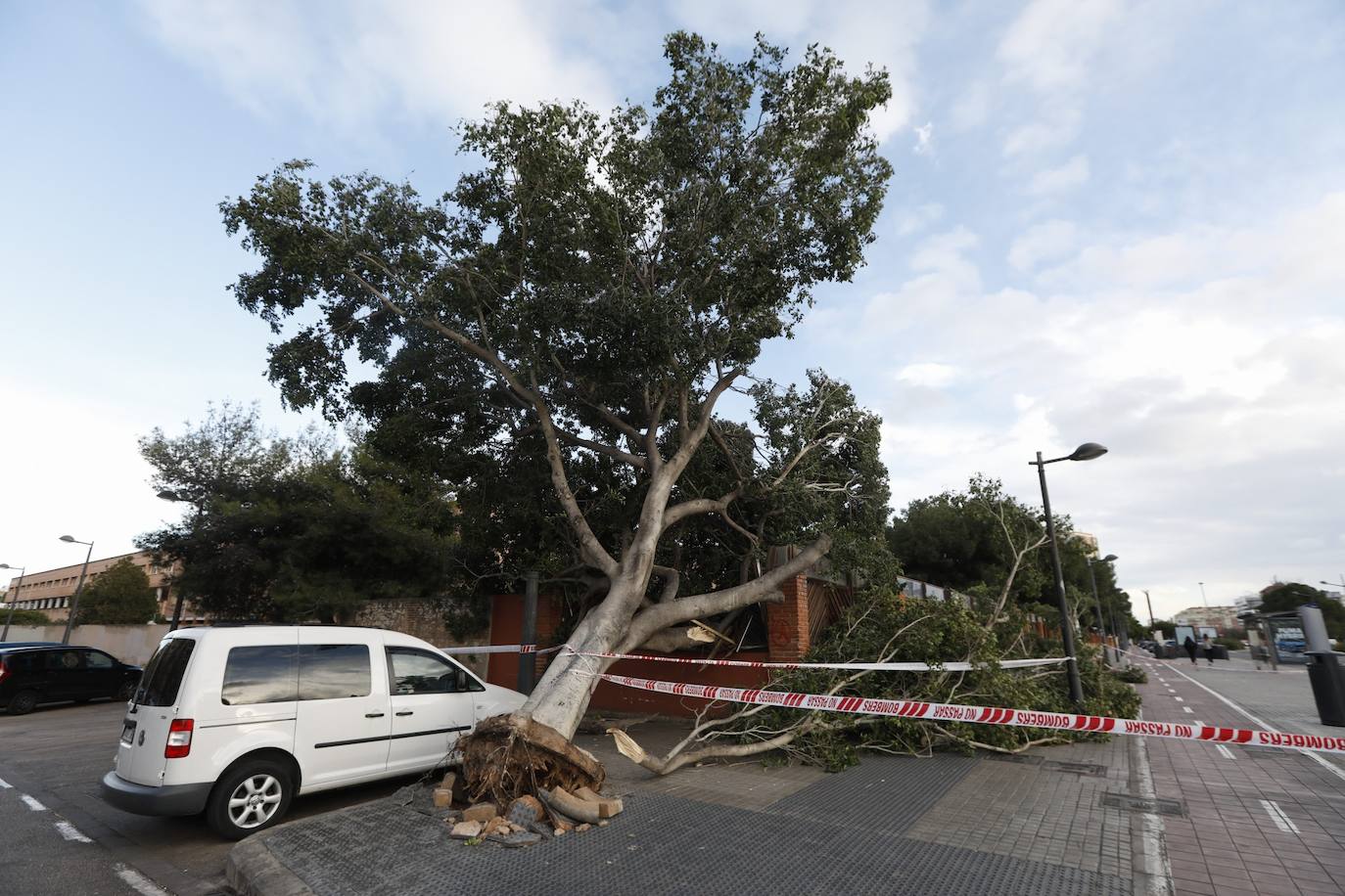 Fotos: &#039;Hortensia&#039; obliga a cerrar parques, jardines y cementerios y provoca incidentes debido a las fuertes rachas de viento