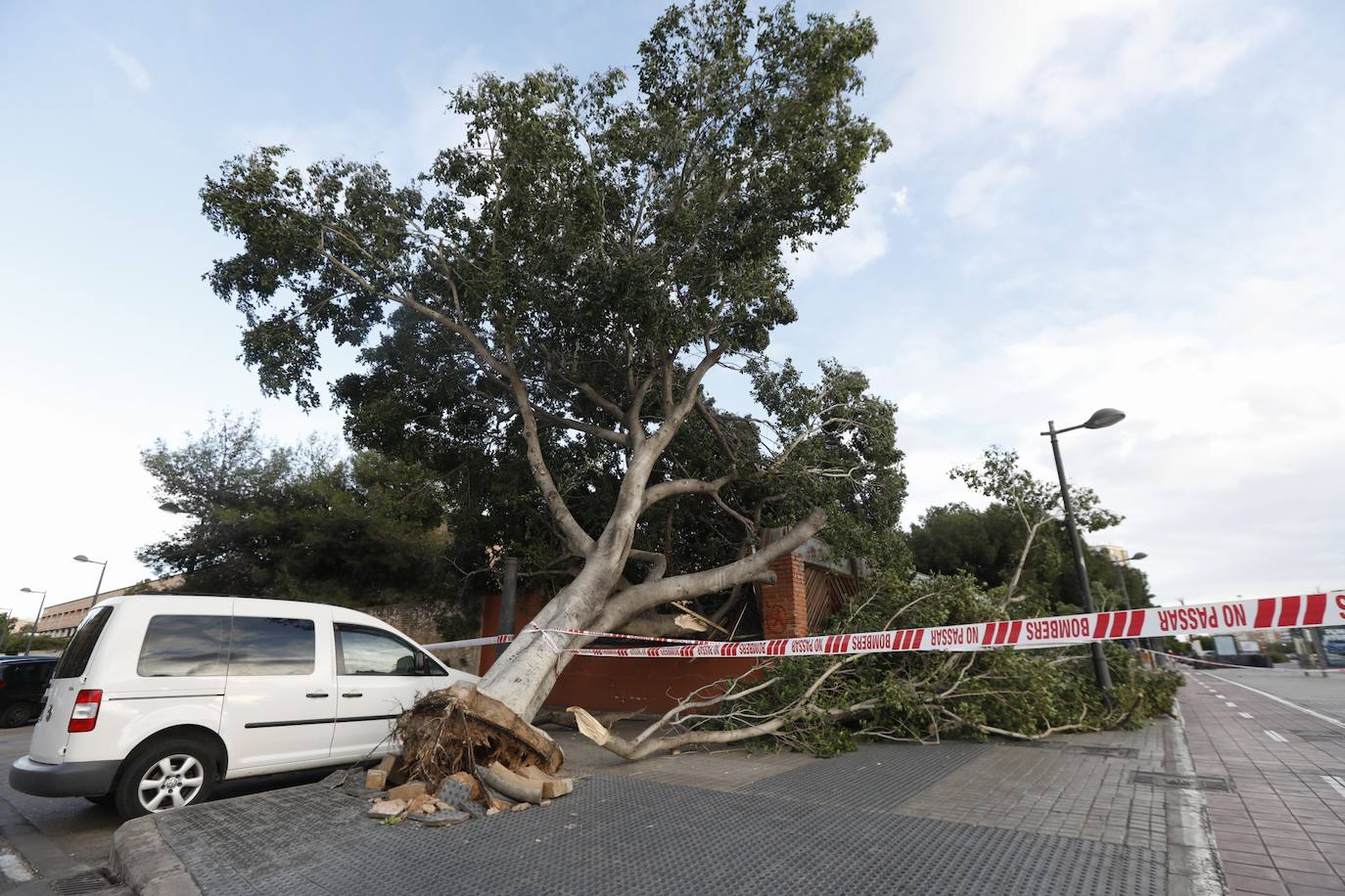 Fotos: &#039;Hortensia&#039; obliga a cerrar parques, jardines y cementerios y provoca incidentes debido a las fuertes rachas de viento