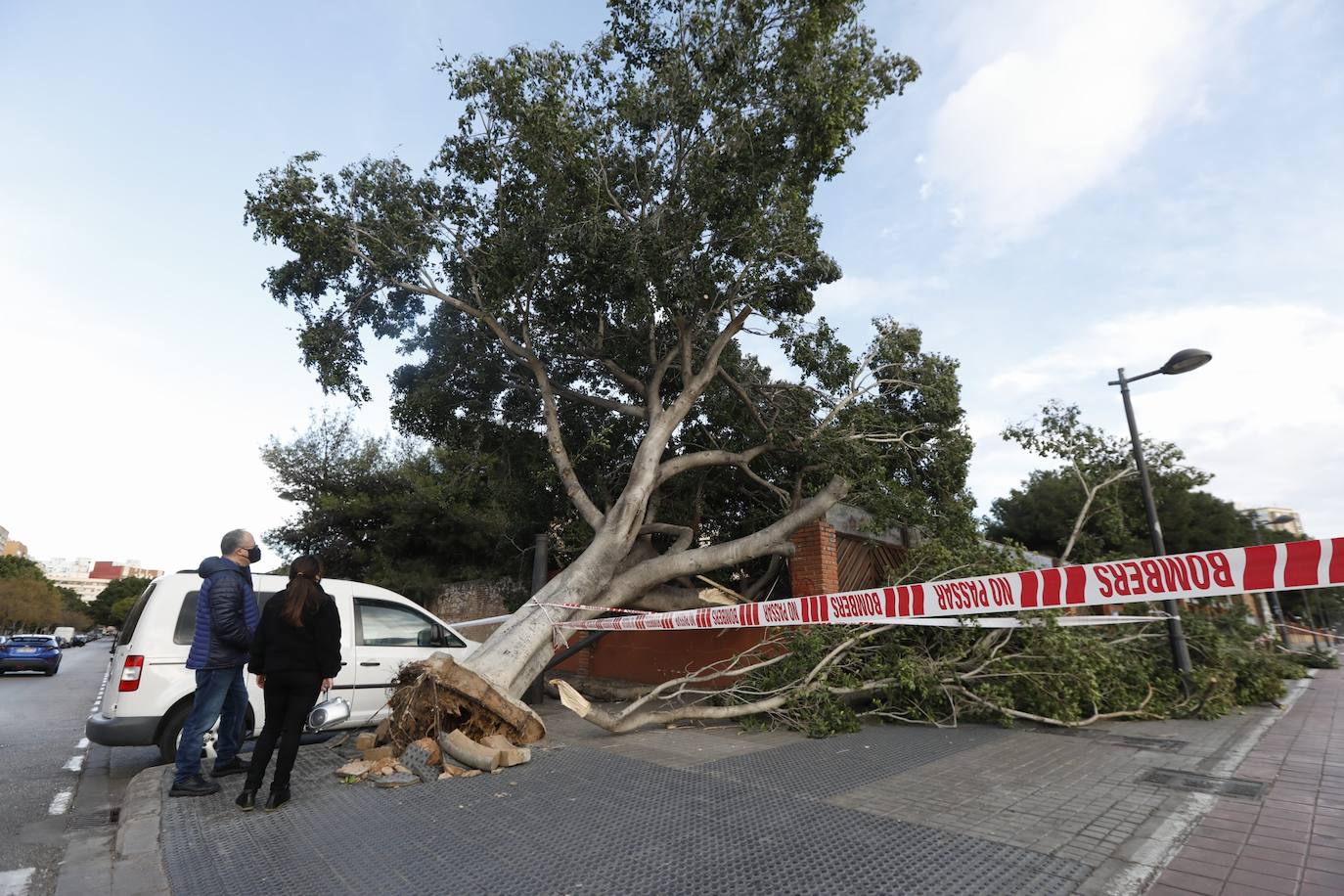 Fotos: &#039;Hortensia&#039; obliga a cerrar parques, jardines y cementerios y provoca incidentes debido a las fuertes rachas de viento