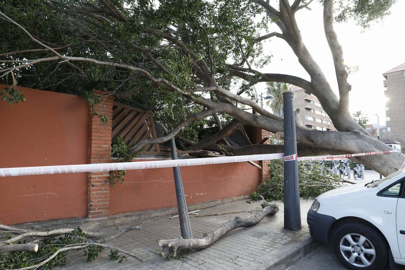 Fotos: &#039;Hortensia&#039; obliga a cerrar parques, jardines y cementerios y provoca incidentes debido a las fuertes rachas de viento