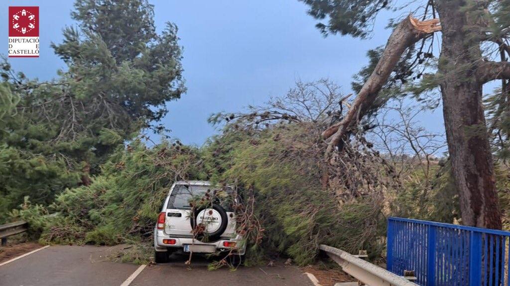 Fotos: &#039;Hortensia&#039; obliga a cerrar parques, jardines y cementerios y provoca incidentes debido a las fuertes rachas de viento