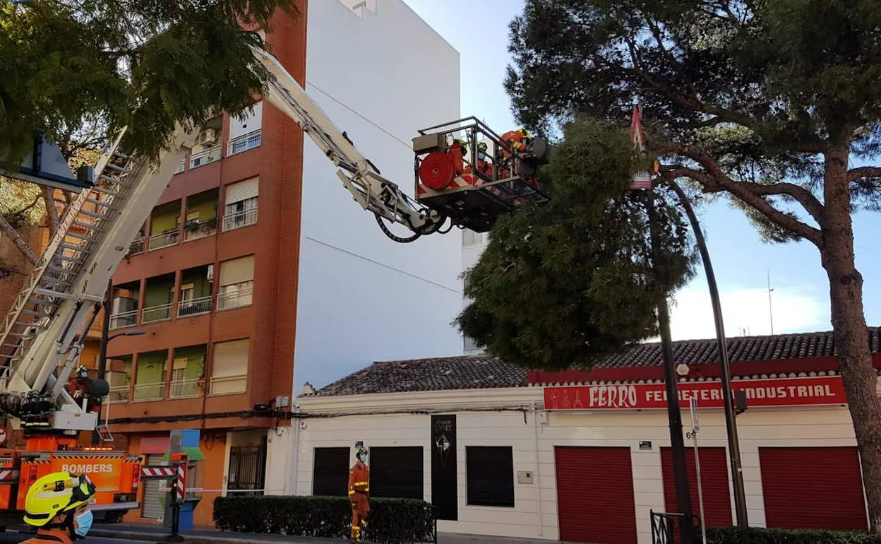 Efectos de 'Ignacio' en Paterna.