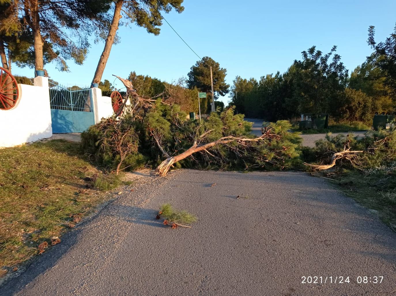 La borrasca deja rachas de hasta 100 km/h en el interior de la provincia de Valencia.