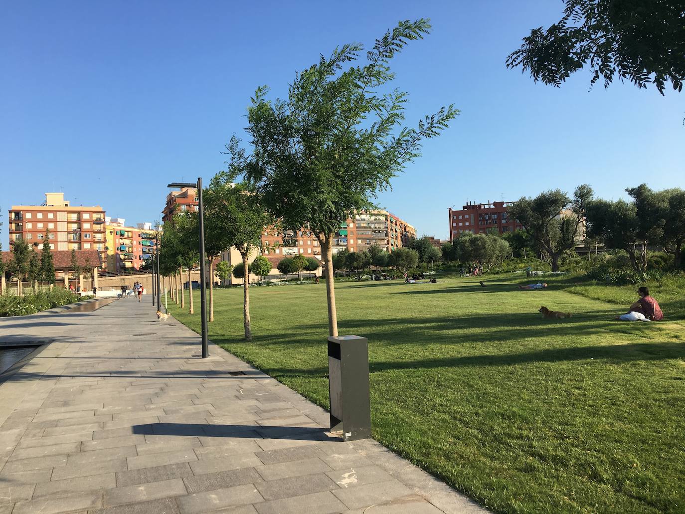 El Parque Central de Valencia es uno de los 11 finalistas al premio Rosa Barba de la undécima bienal de paisaje de Barcelona, uno de los certámenes de paisajismo «más prestigiosos». Así, competirá con otros diez finalistas de todo el mundo, entre ellos jardines de Shangai, Lisboa, Medellín, Brooklyn o Bangkok, entre otros. También el jardín de la plaza de Amparo Arce, en Benimaclet, se encuentra entre los jardines que han concurrido al premio. El jurado del premio ha valorado que el Parque Central es uno de los proyectos urbanos y de infraestructura «más importantes de la ciudad» y que, a su finalización, «se convertirá en uno de los pulmones verdes de la ciudad puesto que conectará barrios que hasta ahora estaban separados por las vías del tren». El jurado de la bienal también ha valorado la utilización del agua como «eje vertebrador» de todo el jardín, según ha indicado el Ayuntamiento de Valencia en un comunicado.