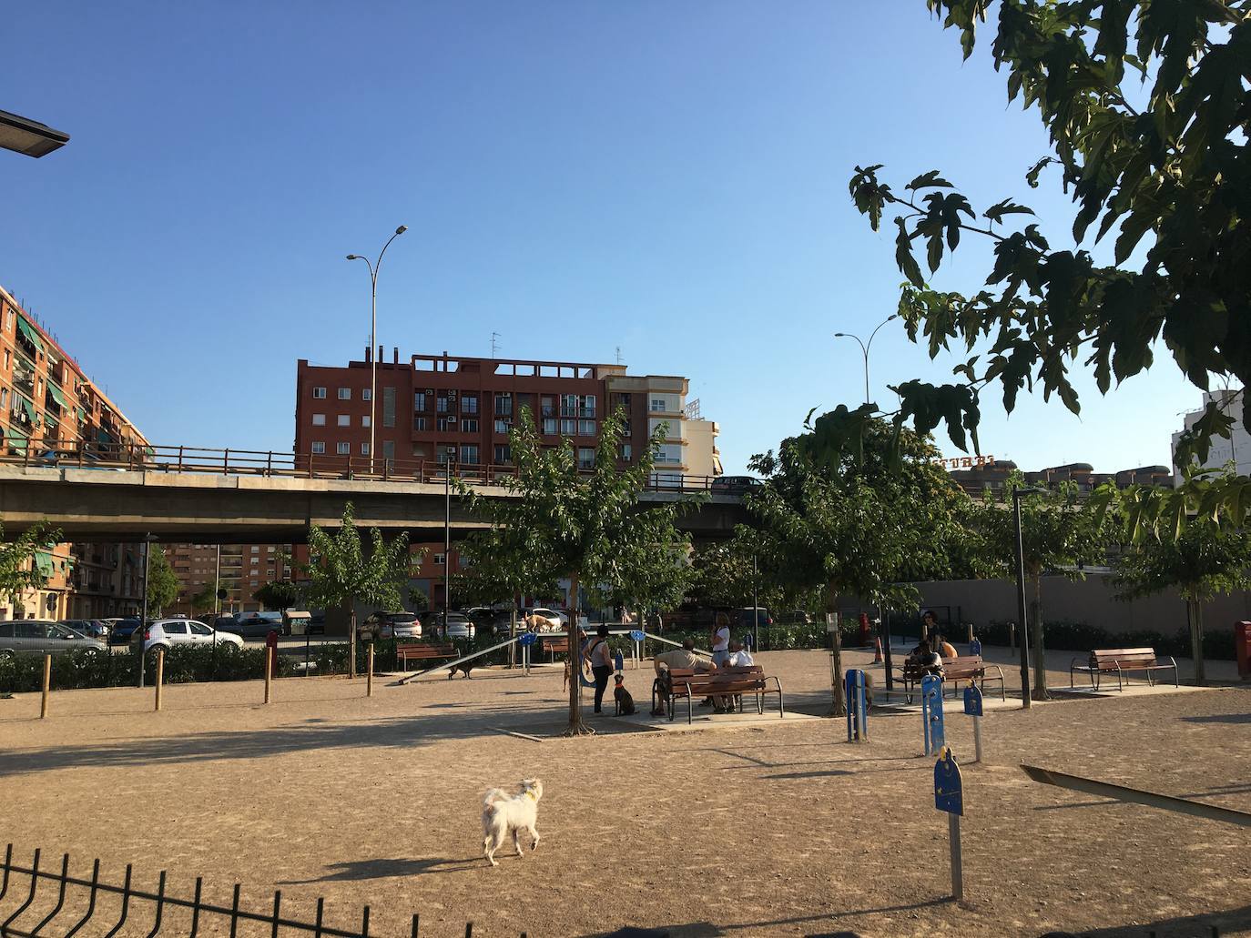 El Parque Central de Valencia es uno de los 11 finalistas al premio Rosa Barba de la undécima bienal de paisaje de Barcelona, uno de los certámenes de paisajismo «más prestigiosos». Así, competirá con otros diez finalistas de todo el mundo, entre ellos jardines de Shangai, Lisboa, Medellín, Brooklyn o Bangkok, entre otros. También el jardín de la plaza de Amparo Arce, en Benimaclet, se encuentra entre los jardines que han concurrido al premio. El jurado del premio ha valorado que el Parque Central es uno de los proyectos urbanos y de infraestructura «más importantes de la ciudad» y que, a su finalización, «se convertirá en uno de los pulmones verdes de la ciudad puesto que conectará barrios que hasta ahora estaban separados por las vías del tren». El jurado de la bienal también ha valorado la utilización del agua como «eje vertebrador» de todo el jardín, según ha indicado el Ayuntamiento de Valencia en un comunicado.