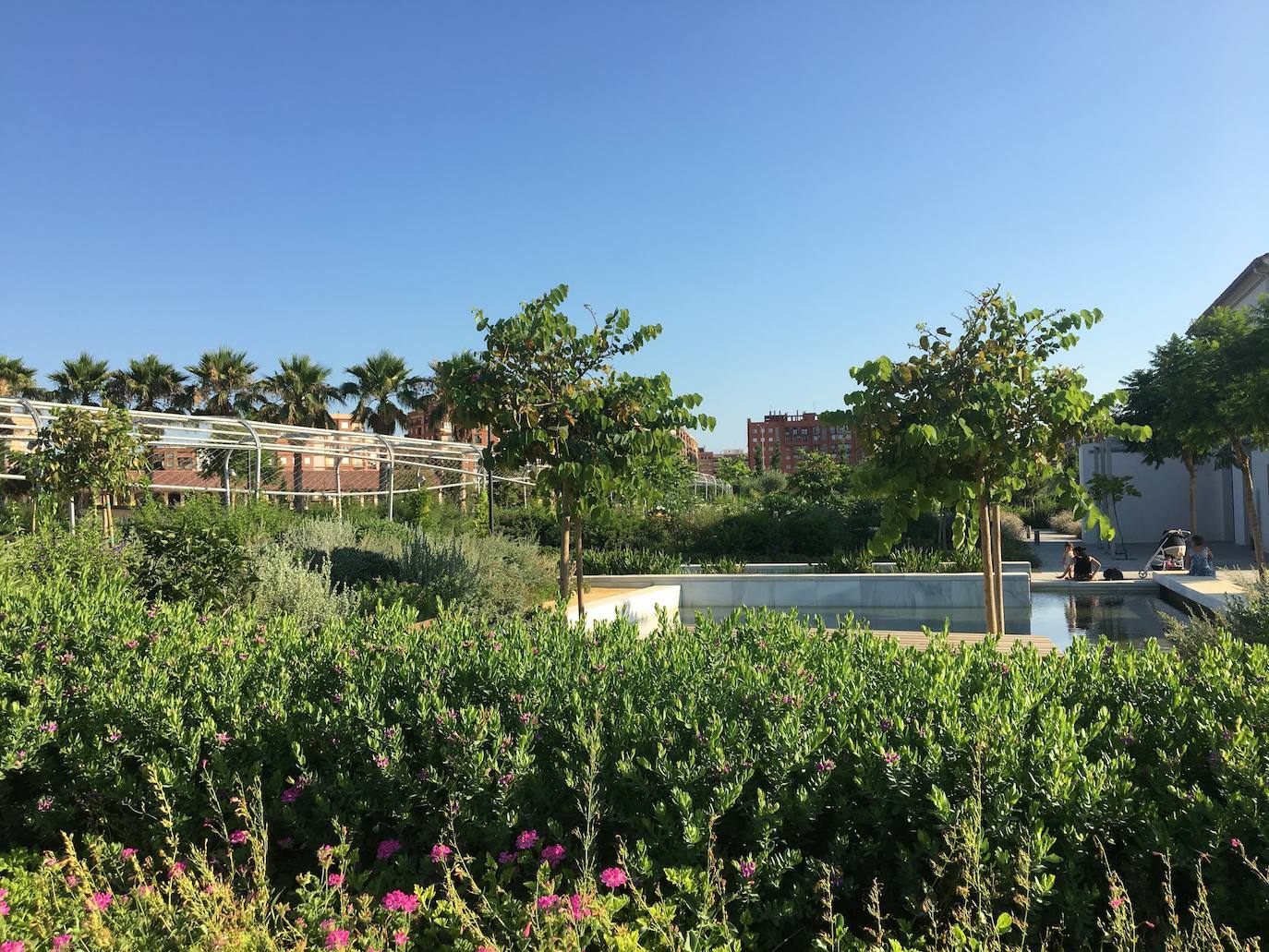 El Parque Central de Valencia es uno de los 11 finalistas al premio Rosa Barba de la undécima bienal de paisaje de Barcelona, uno de los certámenes de paisajismo «más prestigiosos». Así, competirá con otros diez finalistas de todo el mundo, entre ellos jardines de Shangai, Lisboa, Medellín, Brooklyn o Bangkok, entre otros. También el jardín de la plaza de Amparo Arce, en Benimaclet, se encuentra entre los jardines que han concurrido al premio. El jurado del premio ha valorado que el Parque Central es uno de los proyectos urbanos y de infraestructura «más importantes de la ciudad» y que, a su finalización, «se convertirá en uno de los pulmones verdes de la ciudad puesto que conectará barrios que hasta ahora estaban separados por las vías del tren». El jurado de la bienal también ha valorado la utilización del agua como «eje vertebrador» de todo el jardín, según ha indicado el Ayuntamiento de Valencia en un comunicado.