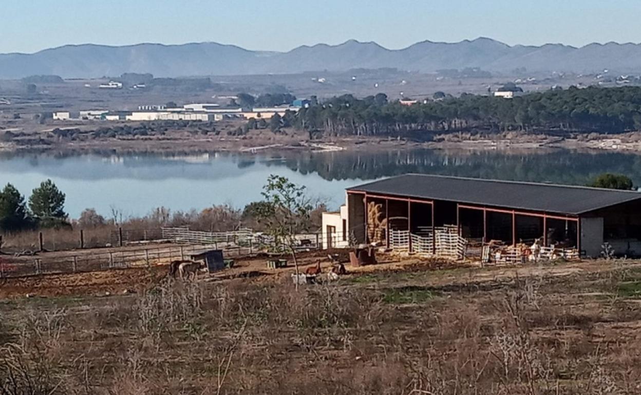 Vista de la explotación equina ilegal desde la carretera donde se produjo el accidente mortal. 