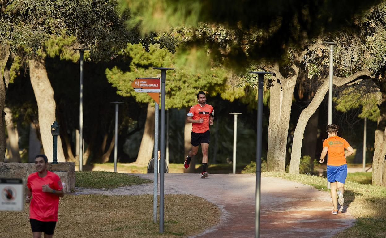 Tres corredores practican deporte en solitario por el carril que transcurre por los jardines del cauce del río Turia 