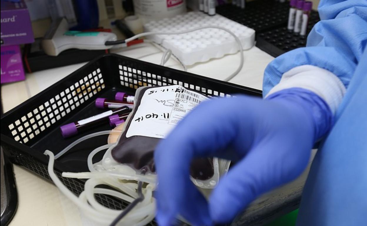 Donar plasma para pacientes de Covid: Dónde y cómo se puede donar en Valencia