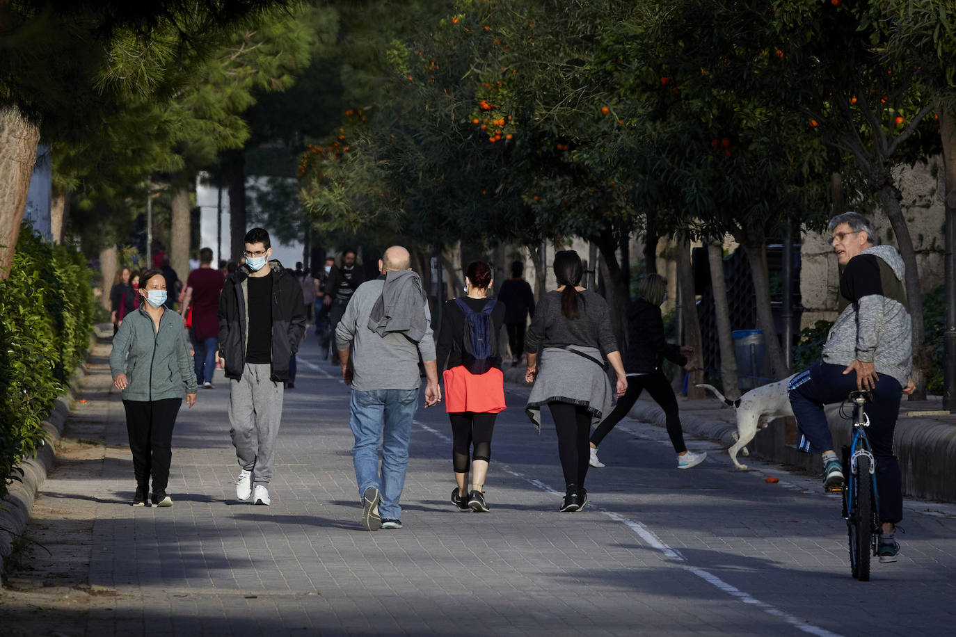 Cientos de personas bajan a diario al viejo cauce tras el cierre de los bares. Comer en el césped, entrenamiento físico o quedar con amigos son las alternativas de recreo en una ciudad sin gimnasios ni restaurantes abiertos. 