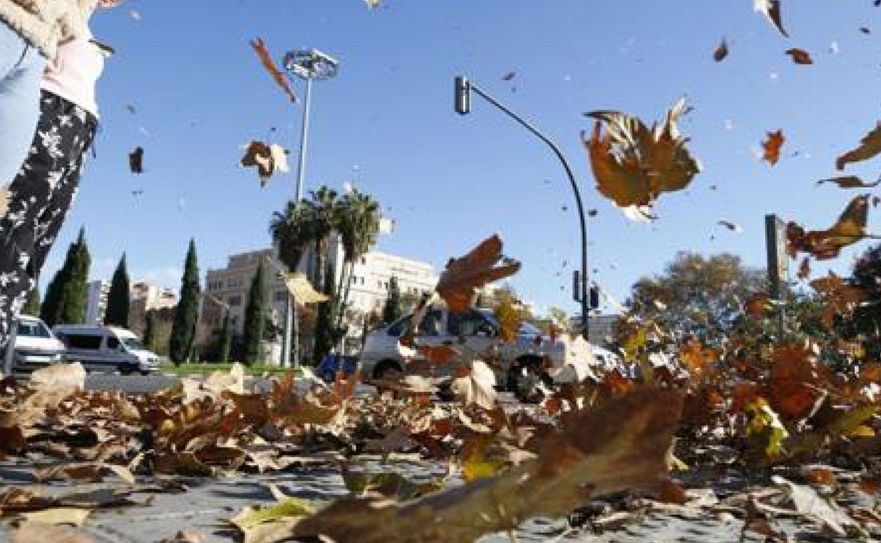 Jornada de viento en Valencia. 