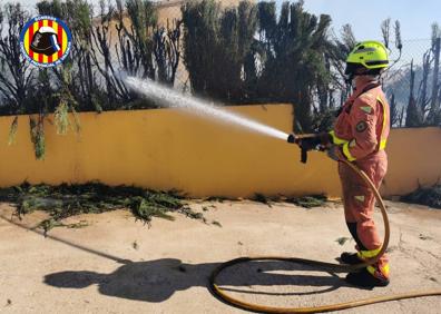 Imagen secundaria 1 - Un incendio de vegetación en Alfarp obliga a establecer la situación 1 del Plan Especial