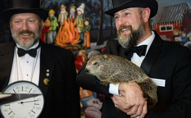 Imagen. La marmota Phil. 