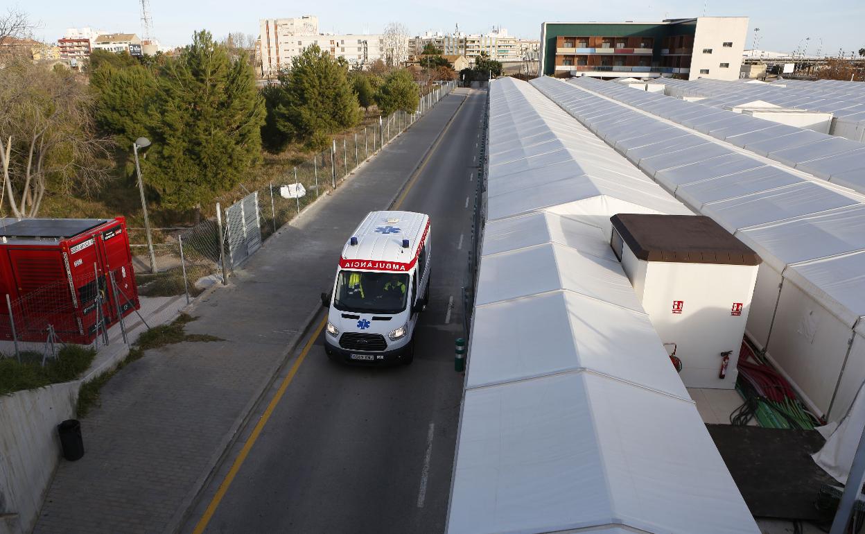 Hospital de campaña junto a la Fe. 