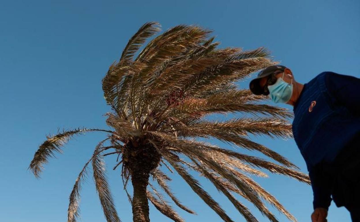 Tiempo en Valencia | Las fuertes rachas de viento vuelven a activar el aviso amarillo en la Comunitat Valenciana