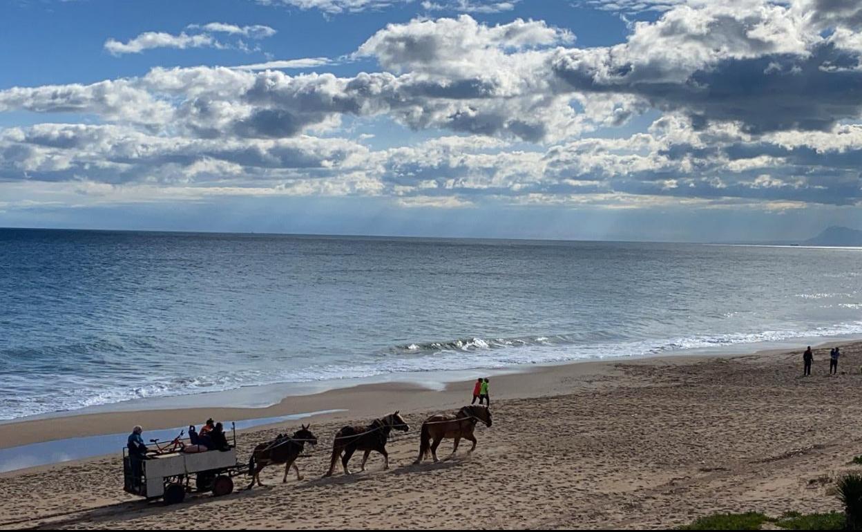 El carro de caballos recorre la costa de Tavernes de la Valldigna. 