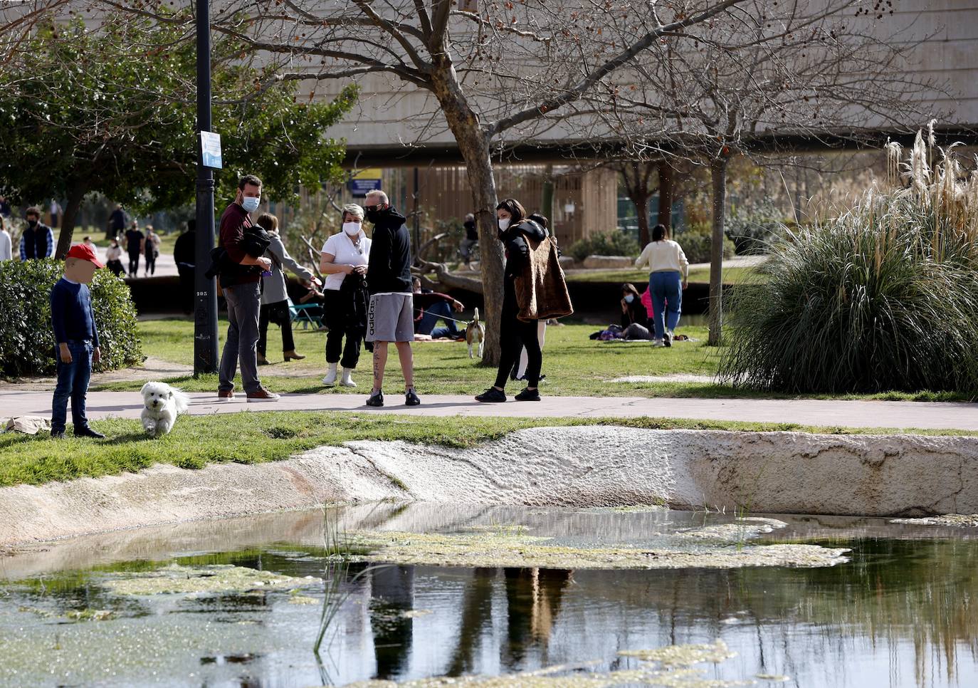 Las bicis toman el antiguo cauce y los paseos, la Malvarrosa