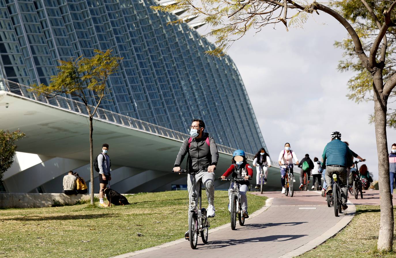 Las bicis toman el antiguo cauce y los paseos, la Malvarrosa