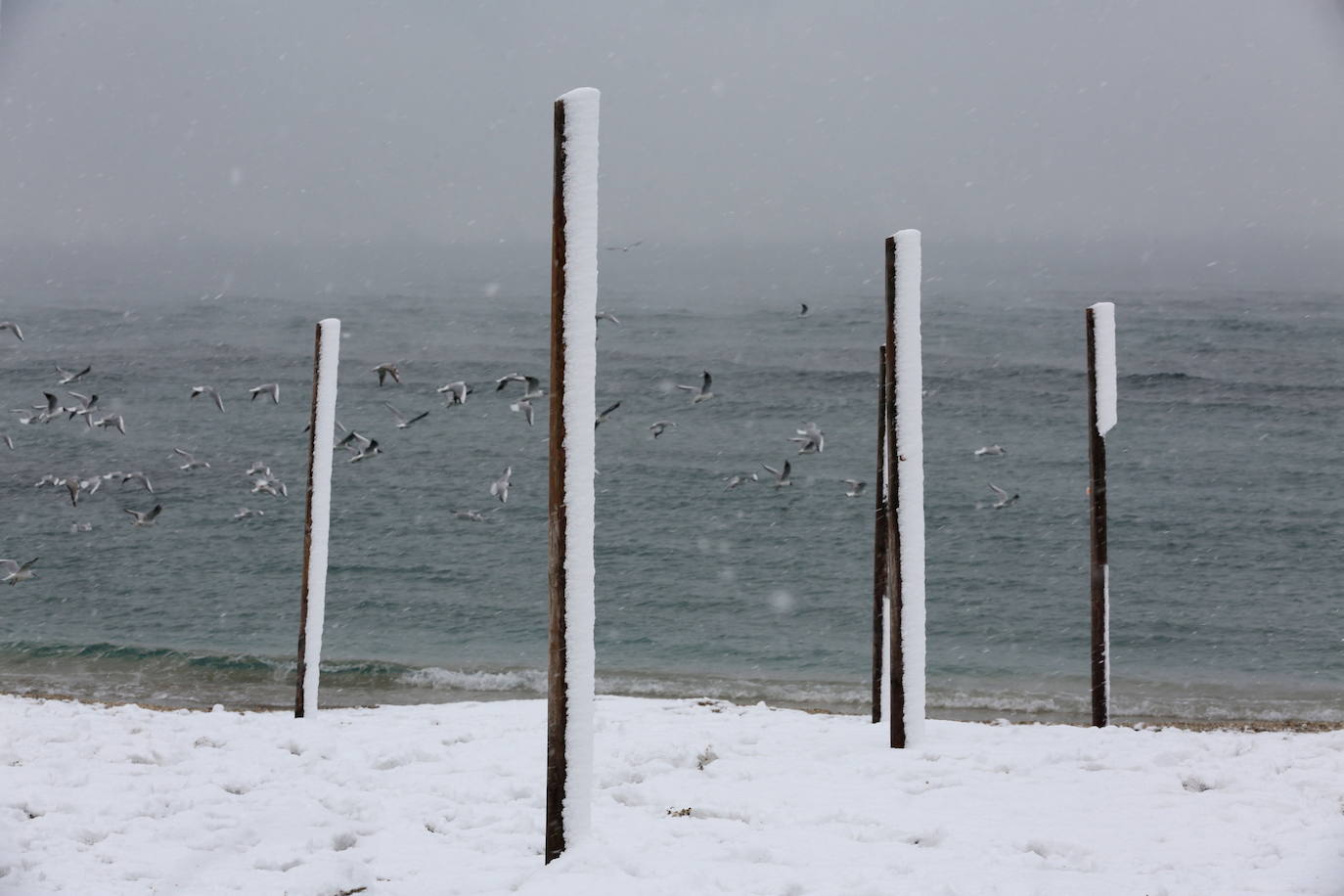 La Acrópolis de Atenas se despertó este martes bajo un manto de nieve al igual que otros monumentos de la antigüedad en la capital griega, ofreciendo un espectáculo excepcional en medio de la ola de frío 'Medea' que afecta al país. El Partenón, el célebre templo del siglo V antes de nuestra era, en lo alto del peñasco en el centro histórico, apenas podía verse a raíz de la nieve que cayó en la noche.