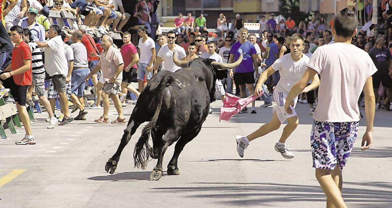 Un aficionado trata de evitar al toro durante unos festejos de bous al carrer. lp