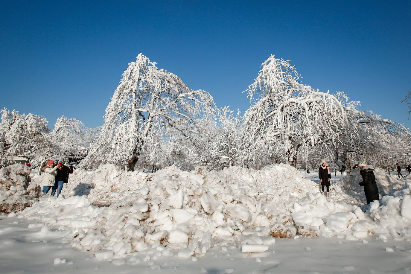 El frío extremo del invierno en América del Norte y Canadá nos brinda una estampa espectacular de las Cataratas del Niágara. Casi congeladas. La nieve y las acumulaciones de hielo crean un verdadero paraíso invernal. Imposible resistirse a una foto con este magnífico espectáculo de la naturaleza. Será por unos dias más. La previsión mantiene las temperaturas gélidas y anuncia más nevadas. 