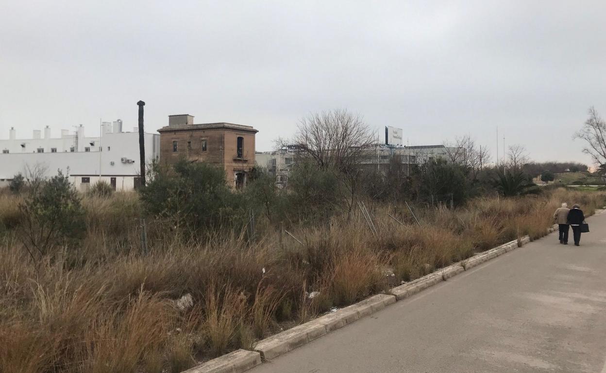 Entorno del hospital de Gandia, donde ha sido hallada la víctima. 