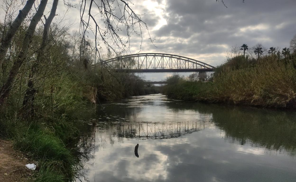 El río Júcar a su paso por Alzira. 