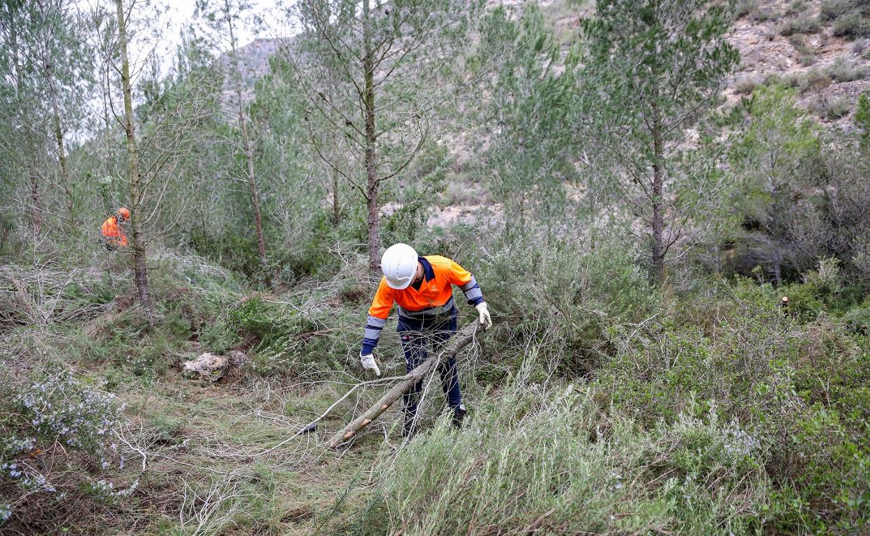 Limpieza en el barranco de Antella. 