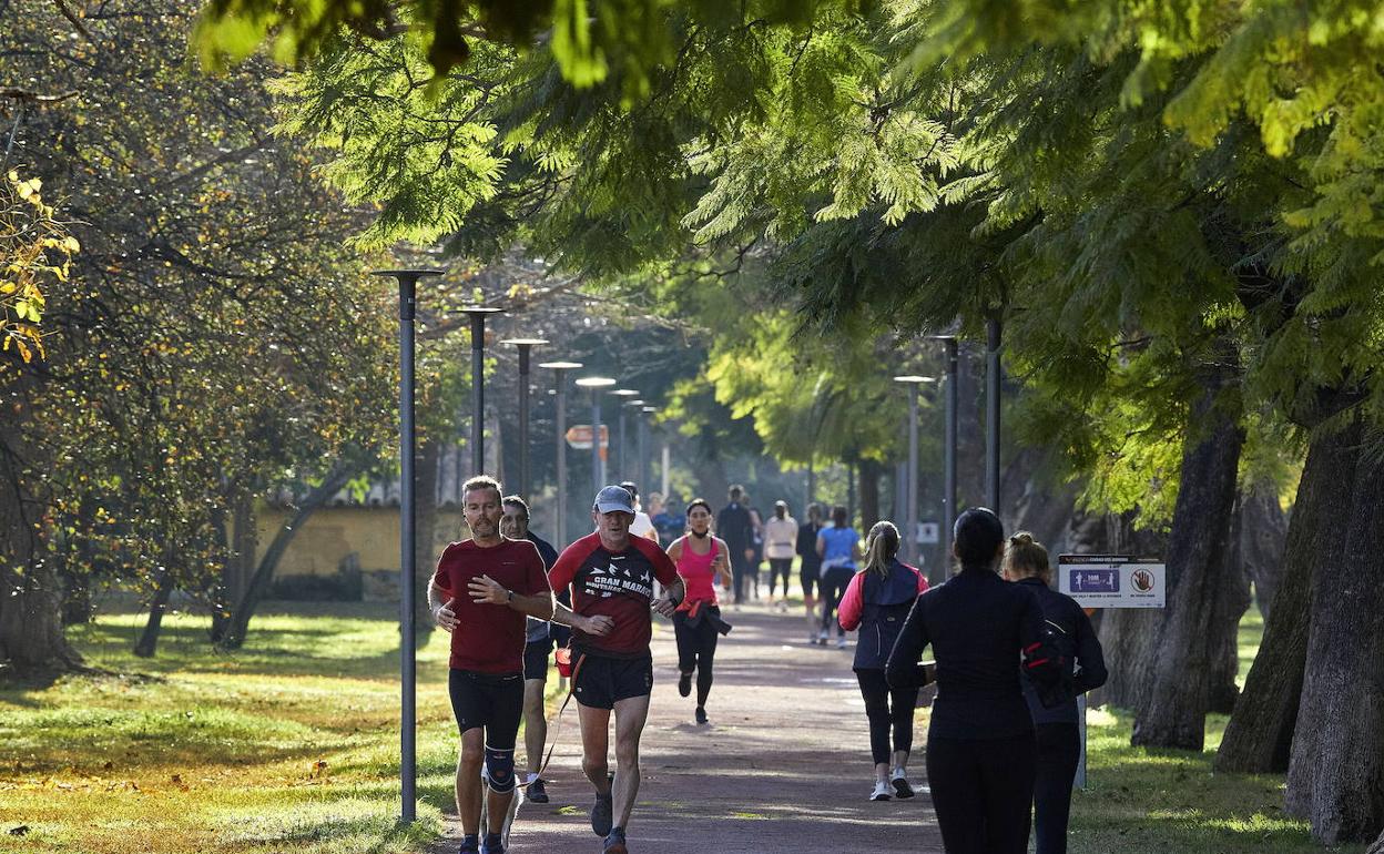 Deportistas en el jardín del Turia, el pasado día 5. 