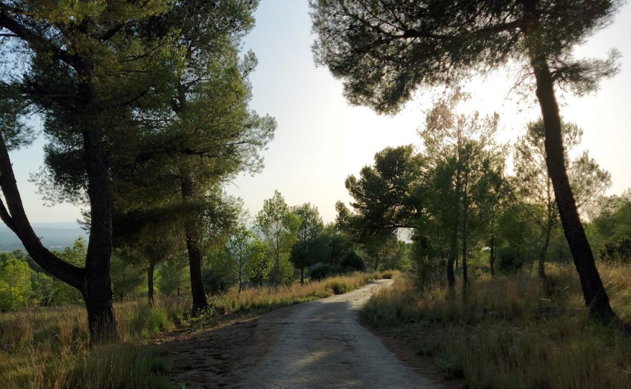 Se mejorará la subida al paraje de la Serratella. 