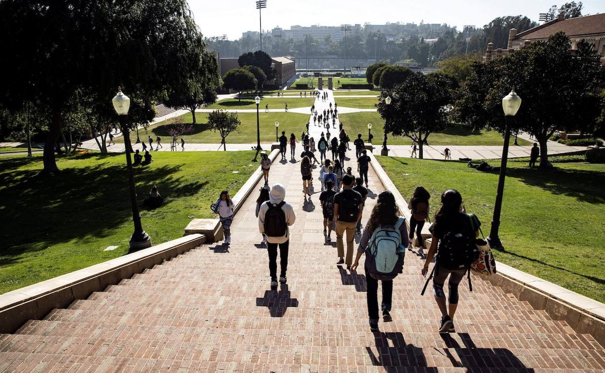 Estudiantes en una universidad. 