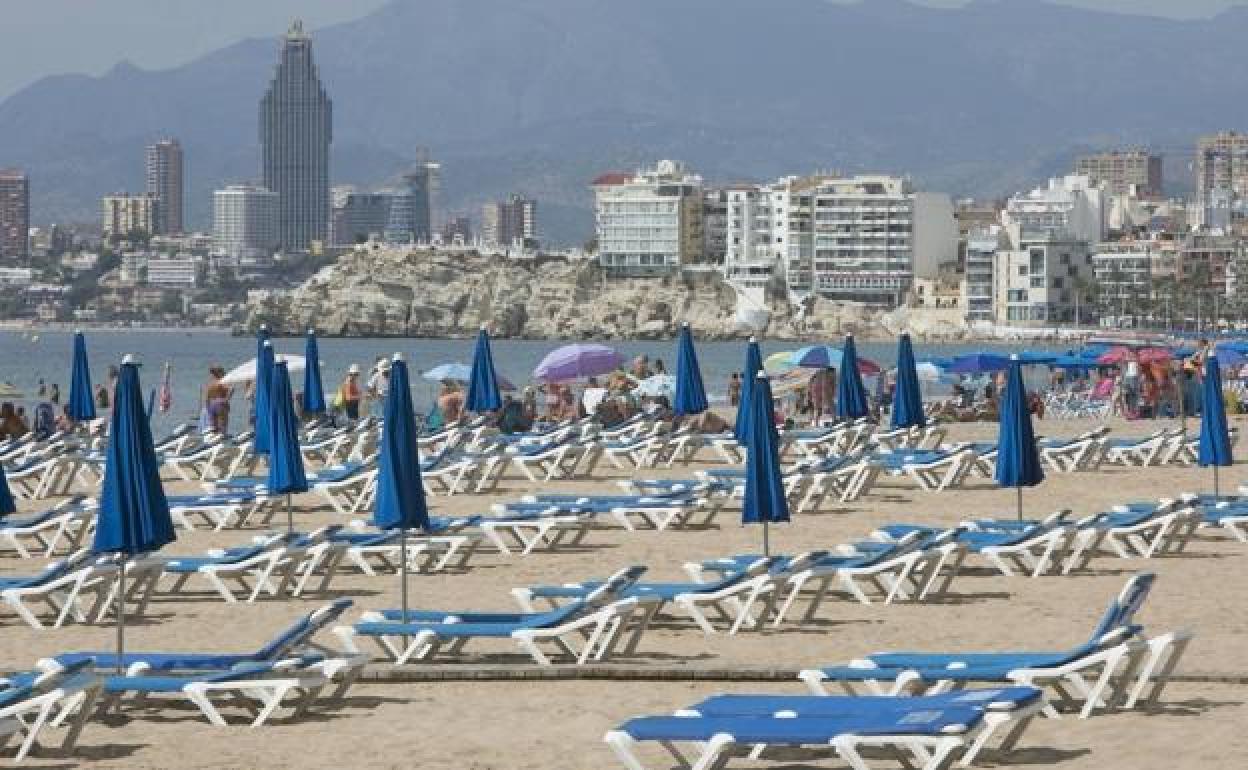 Hamacas en la playa de Benidorm el pasado verano.