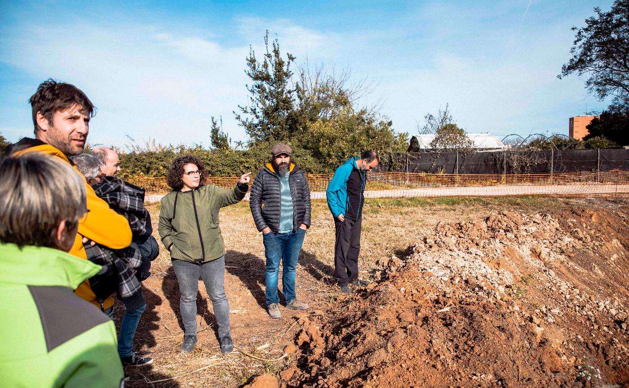 Una actuación de mejora de zonas verdes de Gandia. 